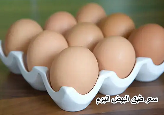 طبق البيض بكم