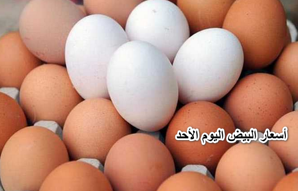 ” زيادات كبيرة “… أسعار البيض اليوم الأحد 27 مارس 2022 في بورصة البيض الرئيسية.