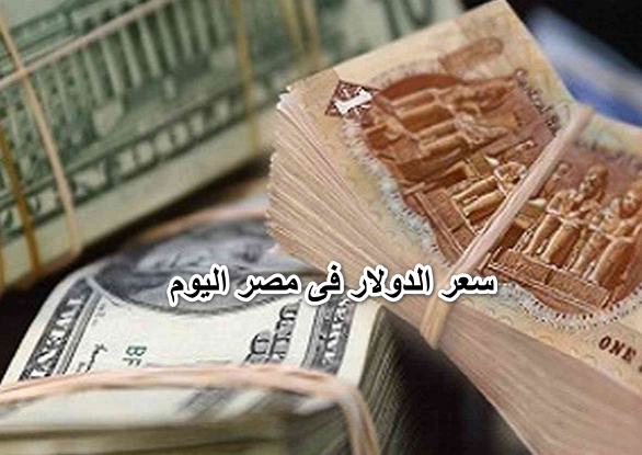 سعر الدولار فى مصر اليوم 27 مارس 2022 فى البنوك الحكومية والخاصة ومكاتب الصرافة.