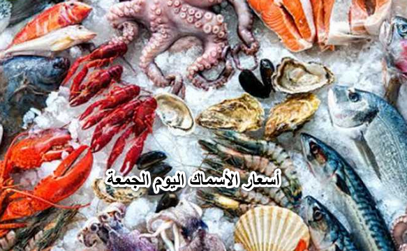 “عايم على وش البحر”… أسعار الأسماك اليوم الجمعة 29 أبريل في الأسواق المصرية للمستهلك.