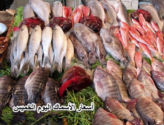 “أرتفاع جديد”.. أسعار الأسماك اليوم الخميس 21أبريل في الأسواق المصرية