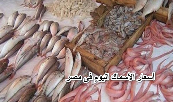 أسعار الأسماك اليوم فى مصر 2 إبريل 2022 فى الأسواق