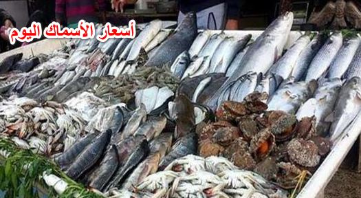 “بشاير عيد الفطر”… أسعار الأسماك اليوم الخميس 28 أبريل في الأسواق المصرية للمستهلك