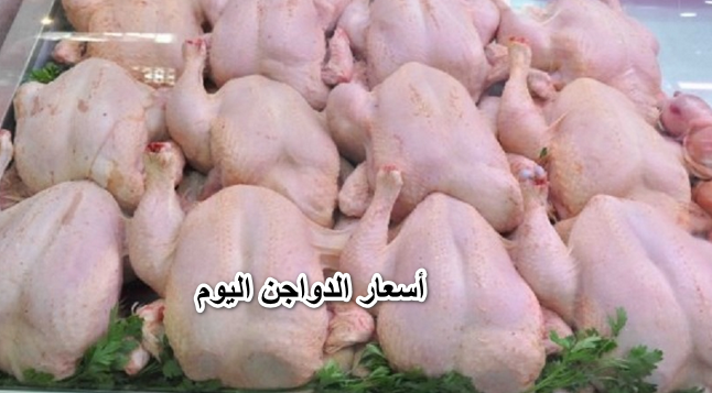 الفراخ نار والبيض طار.. تغيرات مفاجئة وارتفاع أسعار الدواجن اليوم الخميس 21 أبريل