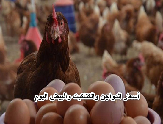 ارتفاع جنوني في أسعار الدواجن والكتاكيت والبيض اليوم الخميس 14 أبريل 2022