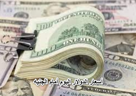 “زاد تاني”.. ارتفاع مفاجئ في أسعار الدولار اليوم أمام الجنيه داخل جميع البنوك المصرية