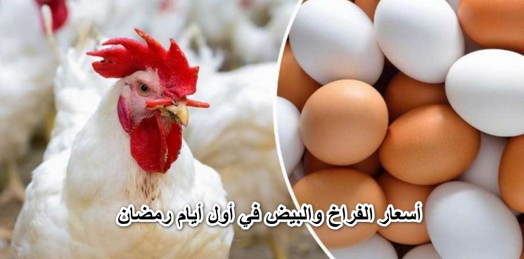 أجل العزومات شوية.. ارتفاع أسعار الفراخ والبيض في أول أيام رمضان في الأسواق