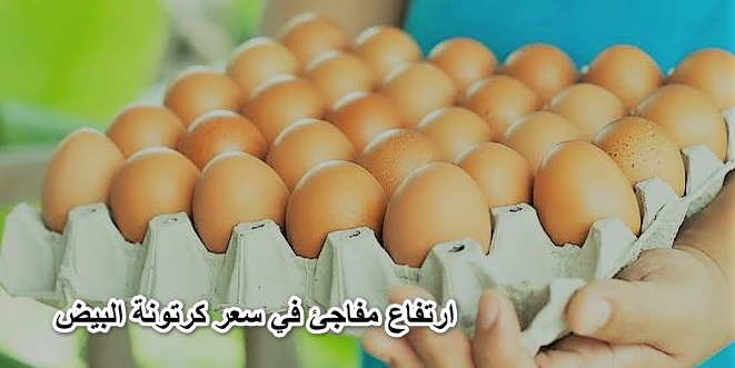ارتفاع مفاجئ في سعر كرتونة البيض اليوم الأحد 10 أبريل 2022 في جميع محافظات مصر “الأبيض والأحمر”
