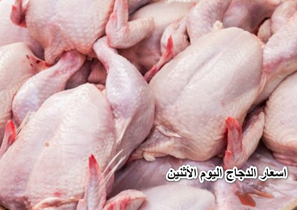 “الفراخ في العالي أوي” … اسعار الدجاج اليوم الأثنين 4-4-2022