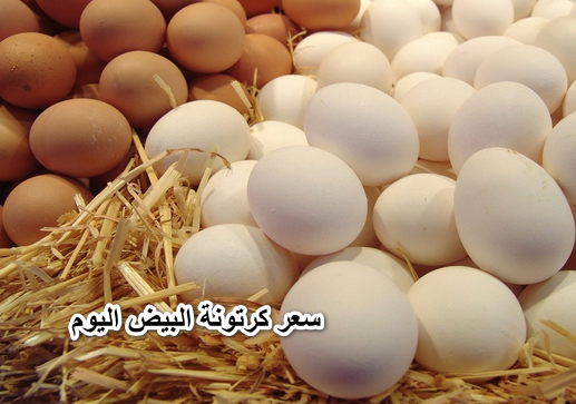 خراب بيوت مستعجل.. مفاجأة غير متوقعة في سعر كرتونة البيض “الأبيض والاحمر” اليوم الخميس 28 ابريل 2022 في جميع محافظات مصر