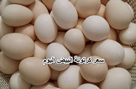 هبوط حاد في سعر كرتونة البيض اليوم الخميس 7 أبريل في بورصة البيض الرئيسية.