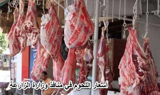 أقل من المحلات وحاجة مضمونة.. أسعار اللحوم البلدي والمجمدة في منافذ وزارة الزارعة