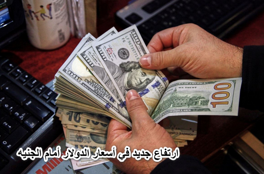 شوف بكام دلوقتي.. ارتفاع جديد في أسعار الدولار أمام الجنيه اليوم الثلاثاء 24 مايو 2022 بنهاية التعاملات