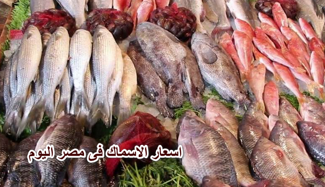 أسعار الأسماك اليوم فى مصر 11 مايو 2022 فى الأسواق