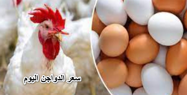 الحقي اشتري وخزني سعر الدواجن اليوم 30 أبريل 2022 فى بورصة الدواجن الرئيسية والأسواق الشعبية