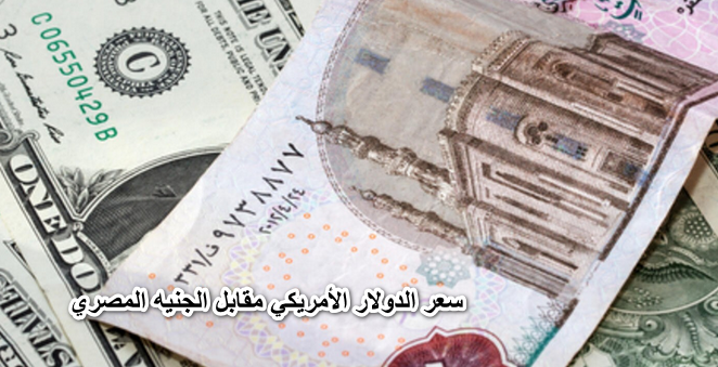 سعر الدولار الأمريكي مقابل الجنيه المصري اليوم السبت 28-5 في شركات الصرافة والبنوك المصرية