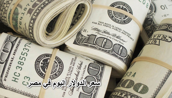“خلاص ركب الصاروخ”.. سعر الدولار اليوم في مصر تحديث يومي مقابل الجنيه الأحد 29 مايو في جميع البنوك