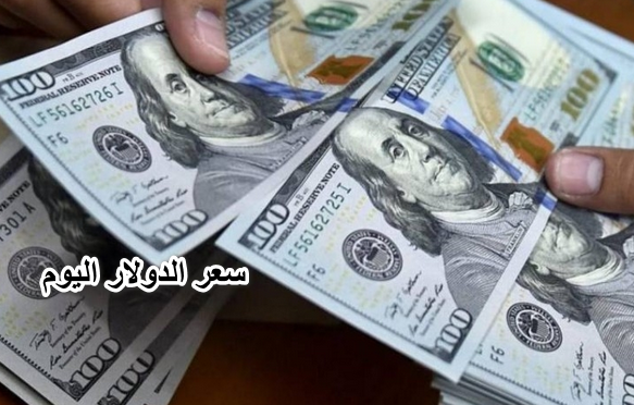شوف بكام دلوقتي قبل ما تغير.. سعر الدولار اليوم الثلاثاء 10 مايو 2022 في البنوك أمام الجنيه
