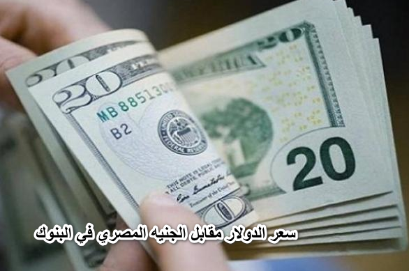 الأخضر رايح على فين … سعر الدولار الامريكي مقابل الجنية المصري اليوم الاثنين 30 مايو في جميع البنوك المصرية