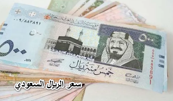 سعر الريال السعودي| بأسعار البنوك المصرية والبنك المركزي السعودي اليوم الأحد 22 مايو 2022