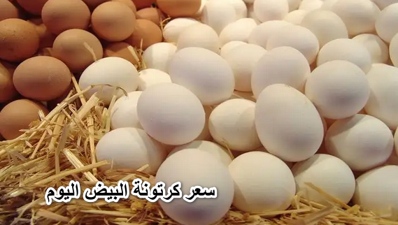 البيض بكام.. سعر كرتونة البيض اليوم الأحد 22 وسعر البيض الابيض والأحمر في الأسواق