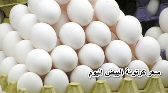 ” هبوط حاد ” سعر كرتونة البيض اليوم الثلاثاء 24 مايو 2022 في بورصة البيض الرئيسية