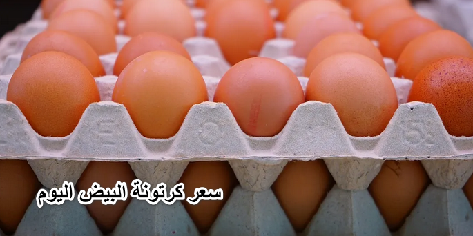 خراب بيوت مستعجل.. مفاجأة غير متوقعة في سعر كرتونة البيض اليوم السبت 14 مايو 2022 “الأبيض والاحمر”