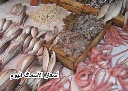 الحقي خزني السمك بقي برخص التراب..أسعار الأسماك اليوم الأربعاء في جميع الأسواق المصرية
