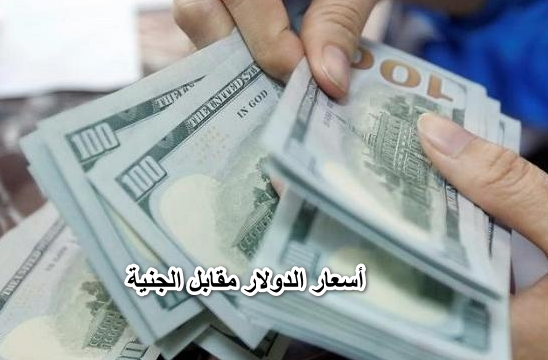 خارج التوقعات.. أسعار الدولار مقابل الجنية في بداية تعاملات اليوم الخميس 9 يونيو 2022
