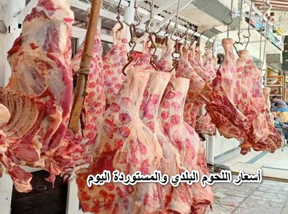 “خراب بيوت مستعجل”..أسعار اللحوم البلدي والمستوردة اليوم الخميس 9 يونيو 2022 في الأسواق المحلية