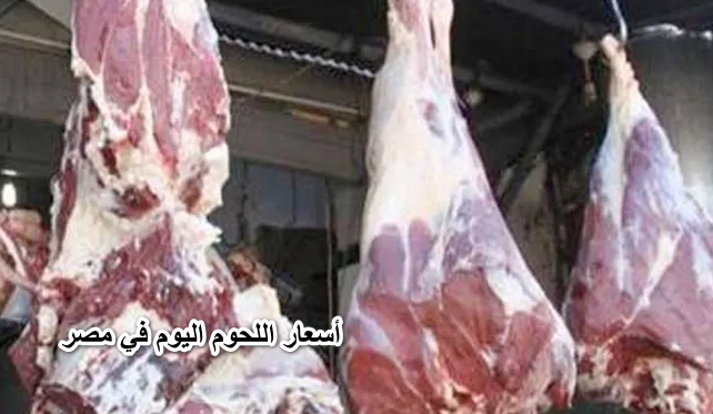 الجملي بـ140 جنيه.. أسعار اللحوم اليوم في مصر الاثنين 13 يونيو 2022.