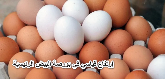 لأول مرة في مصر … سعر كرتونة البيض يسجل إرتفاع قياسي في بورصة البيض الرئيسية اليوم السبت 18-6-2022