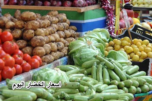 الحقي اشتري وخزني الخضار والفاكهة برخص التراب..اسعار الخضار اليوم السبت 2022/6/18 في جميع الأسواق
