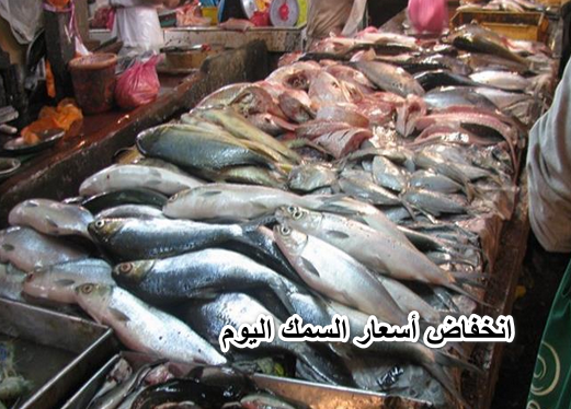 لحمة الغلابة.. انخفاض أسعار السمك اليوم في مصر الأحد 12 يونيو 2022