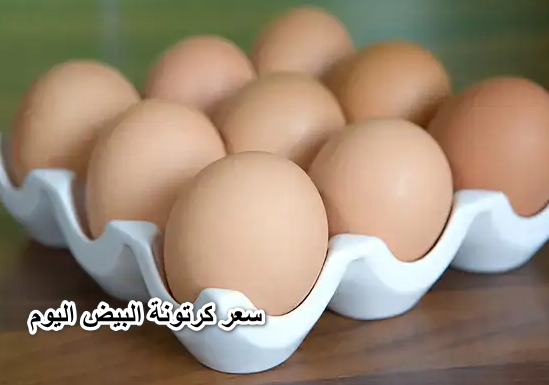 مفاجأة مدوية.. سعر كرتونة البيض اليوم الأربعاء في بورصة البيض الرئيسية والأسواق المحلية