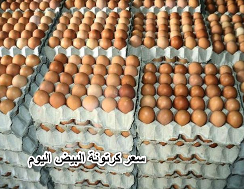 إرتفاع جنوني .. سعر كرتونة البيض اليوم الجمعة في بورصة البيض الرئيسية 17-6-2022
