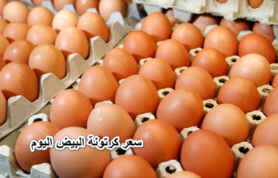 ربنا يعوض على الجميع.. مفاجأة غير متوقعة في سعر كرتونة البيض اليوم الثلاثاء 7 يونيو 2022 في جميع محافظات مصر شوف طبق البيض بكام