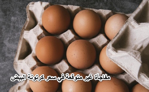 خراب بيوت مستعجل.. مفاجأة غير متوقعة في سعر كرتونة البيض اليوم الخميس 9 يونيو 2022 في جميع محافظات مصر